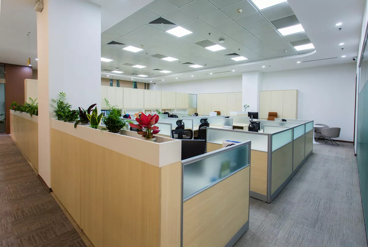 Commercial Water Damage Restoration in Charlotte: What Businesses Need to Know