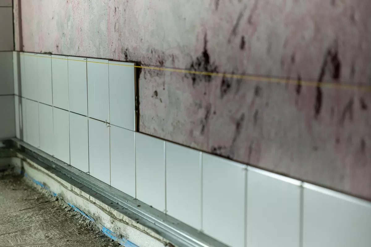Does insurance cover mold remediation in North Carolina?
