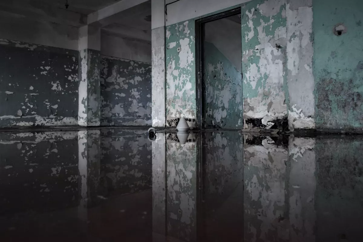 Flooded basement in Charlotte: what to do, cleanup, and cost