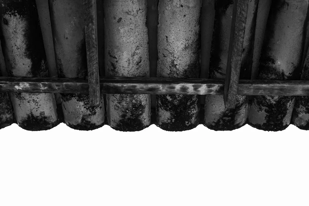 Is black mold dangerous? What Charlotte homeowners should know