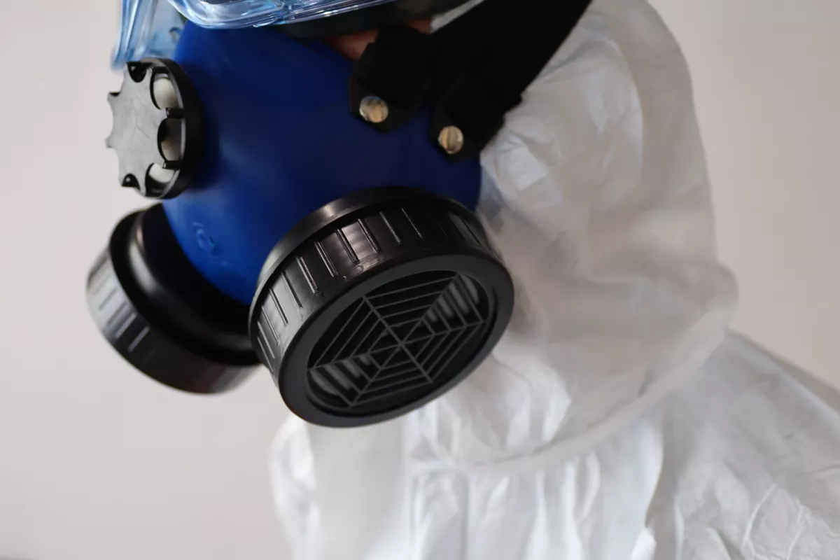 Mold inspection vs. testing vs. remediation: what each step is