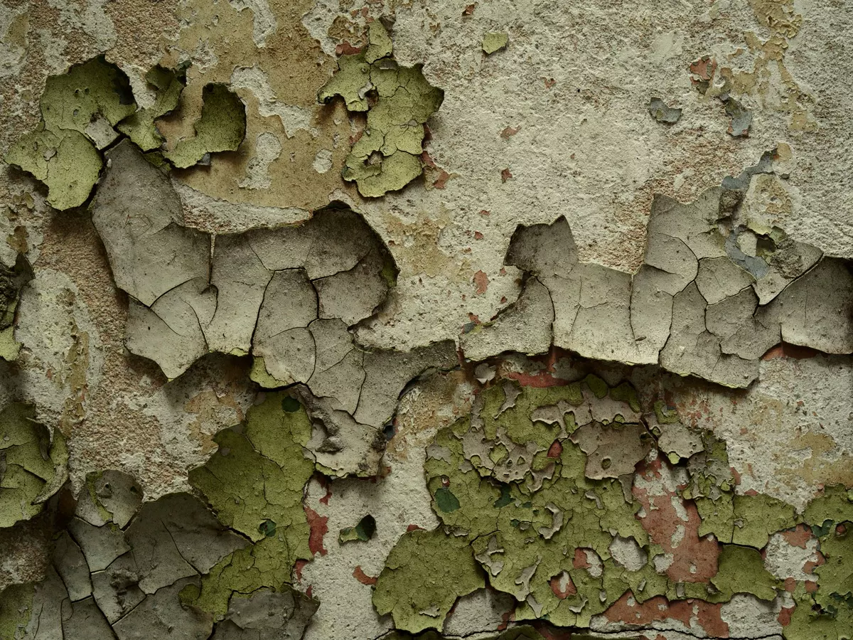 Mold after water damage: why fast drying matters in Charlotte